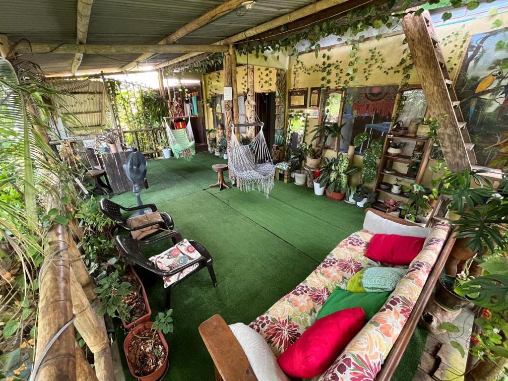 una habitación con sofá y plantas. en Refugio Maiku Puerto Nariño, en Puerto Nariño