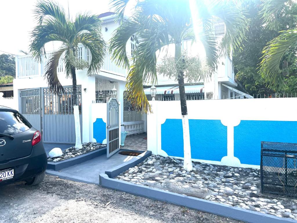 ein Auto, das vor einem Haus mit Palmen parkt in der Unterkunft Golden View in Saint Mary