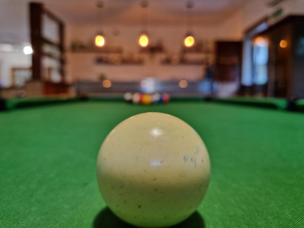 Biliár nebo kulečník v ubytování Hotel Mistral