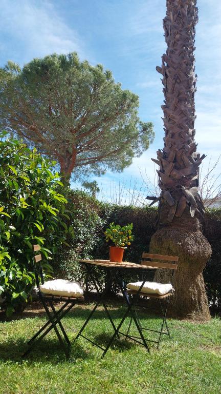 Zahrada ubytování Casa GIO' GIO' Borgo San Basilio