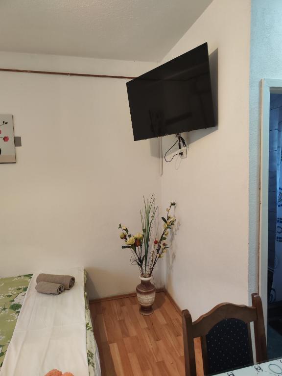 TV a/nebo společenská místnost v ubytování Snezana home