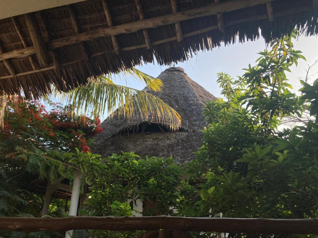 a building with a thatched roof and some trees at PASA LODGE ZANZIBAR in Nungwi