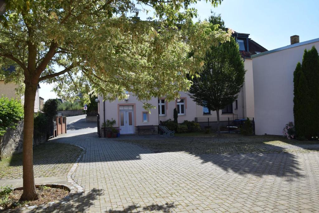un árbol frente a una casa blanca en Muldenblick DG Wohnung, en Trebsen