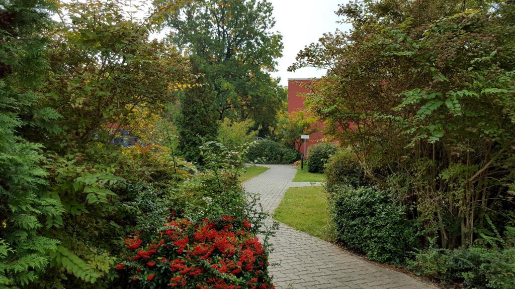 Gästehaus Pauline - Resim 13