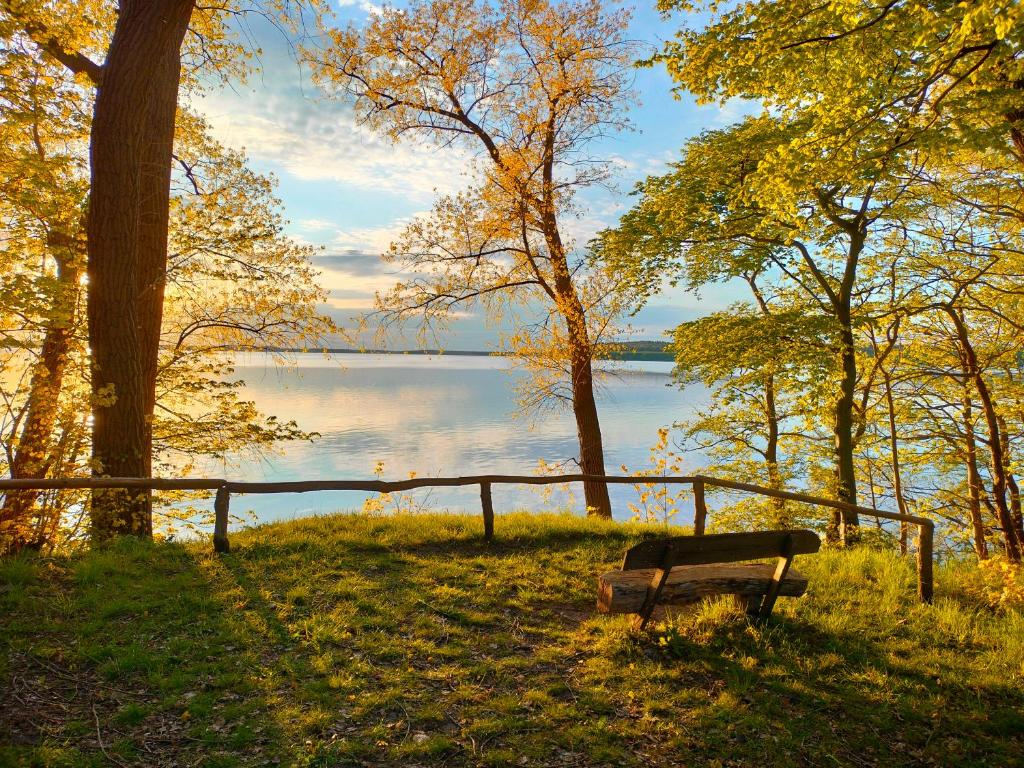 a bench sitting in the grass next to a body of water at Kleine Ferienoase am Plauer See in Funfseen