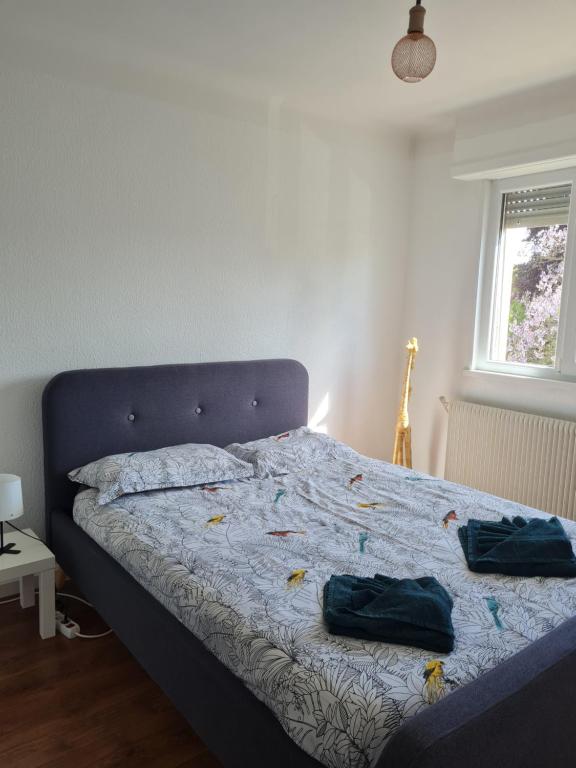 Appartement proche centre-ville, parking gratuit – photo 12