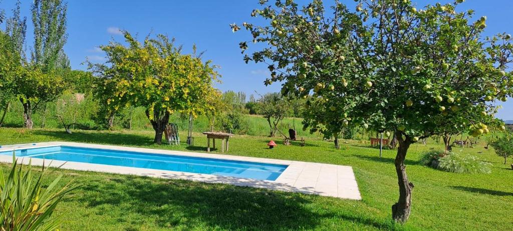 Swimmingpoolen hos eller tæt på Departamento en San Rafael, Mendoza