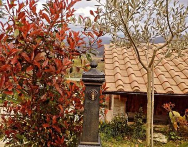 Zahrada ubytování Il Podere di Massi