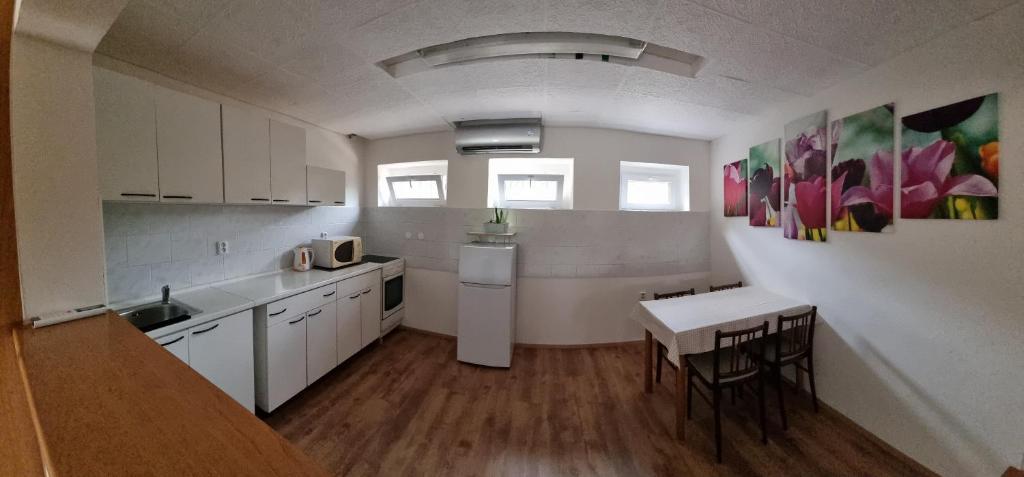 Kuchyň nebo kuchyňský kout v ubytování Apartmány Vinařství Klučov