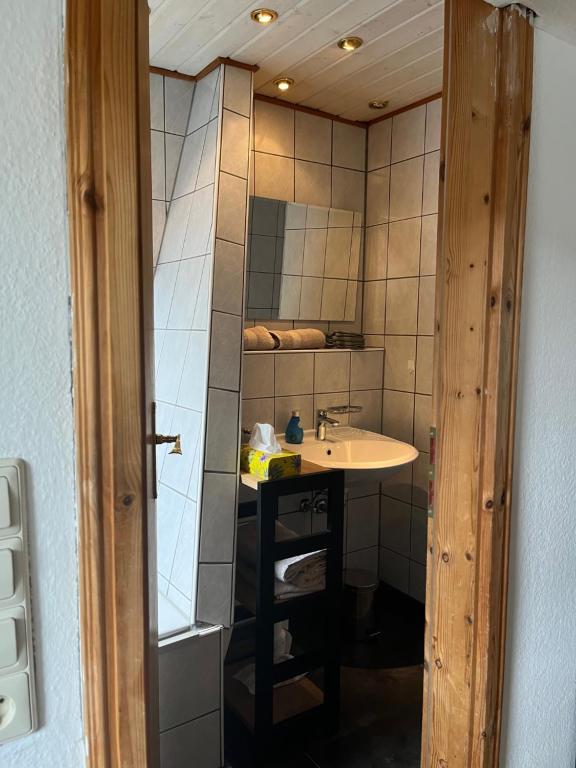 a bathroom with a sink and a mirror at Galeriewohnung mit Seeblick in Absberg