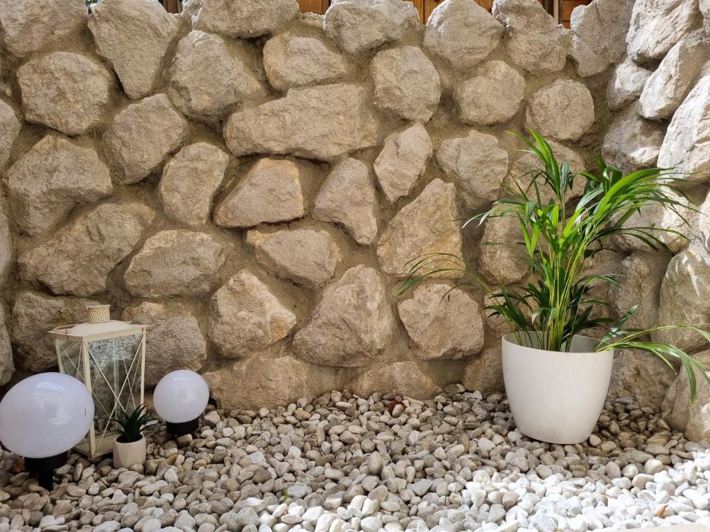 un mur en pierre avec des plantes en pot devant un mur en pierre dans l'établissement Appartment im Untergeschoss, à Freilassing