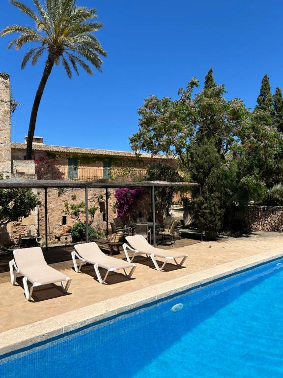 a swimming pool with two lounge chairs and a palm tree at Finca Albenyeta in Llucmajor