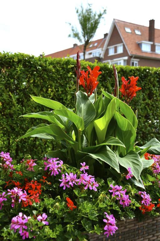 Hotel De Stern - Resim 23