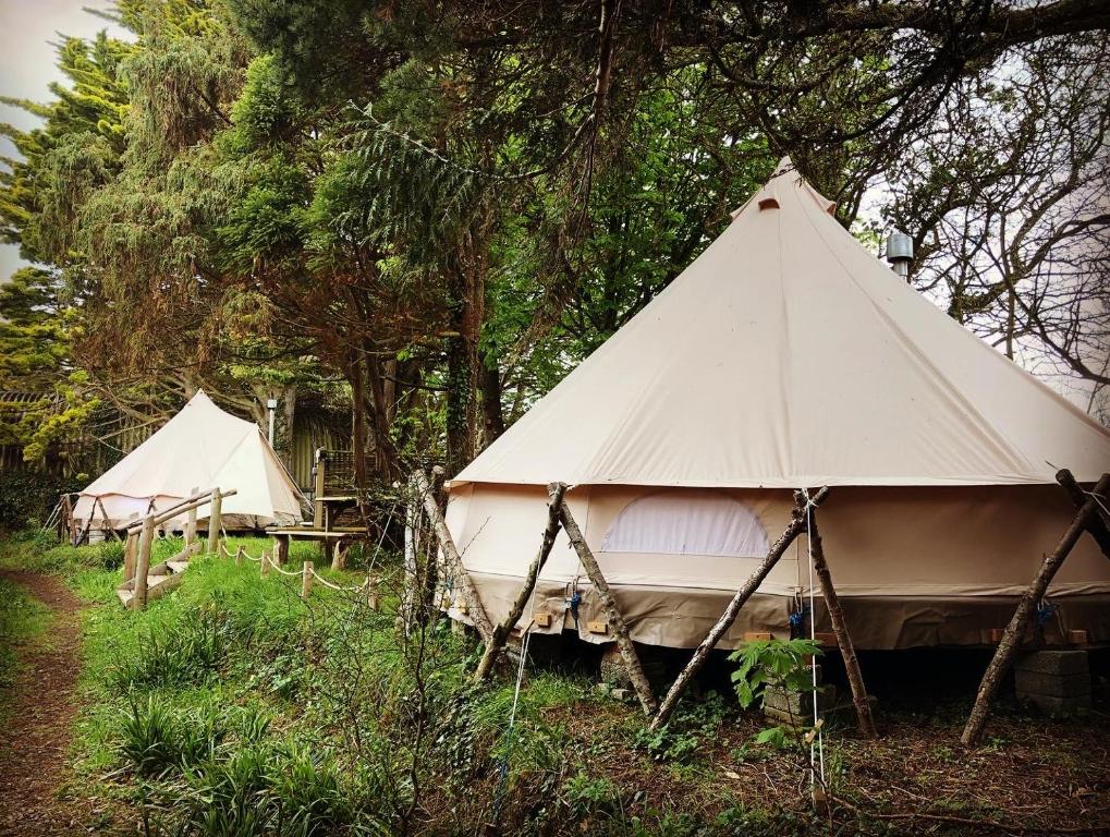 Cynefin Farm Yurts, Moylegrove