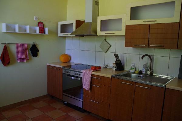 Kuchyň nebo kuchyňský kout v ubytování Kursi Summer Manor