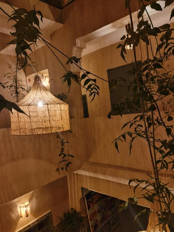 Fotografie z fotogalerie ubytování Medina Oasis Hostel v Marrákéši