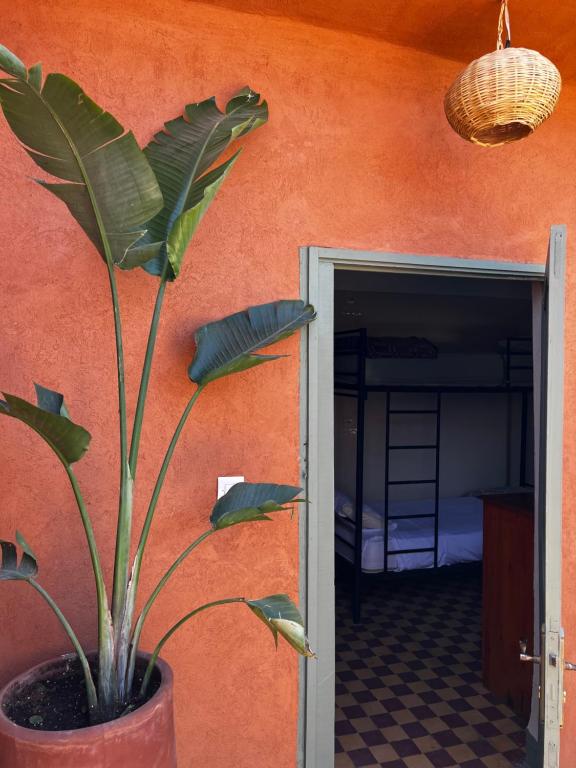 Fotografie z fotogalerie ubytování Medina Oasis Hostel v Marrákéši