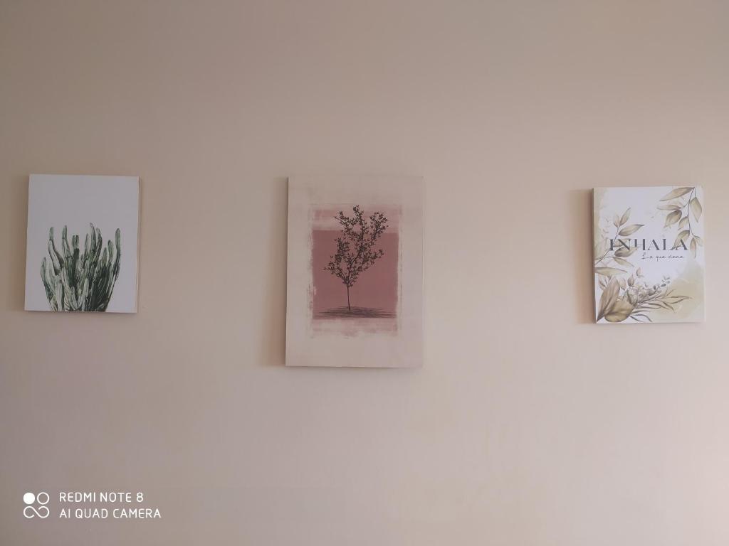 Fotografie z fotogalerie ubytování Amplio apartamento a pasos de los principales centros de compras v destinaci Ciudad del Este