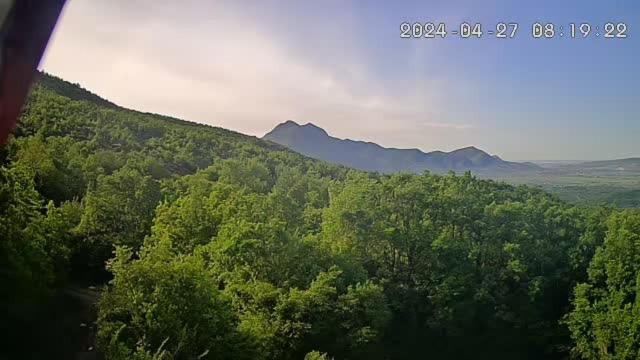 una vista de un bosque con montañas en el fondo en agriturismo Kreshta, en Lezhë