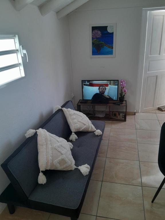 a living room with a couch with pillows and a tv at Séjour au calme in Le Moule