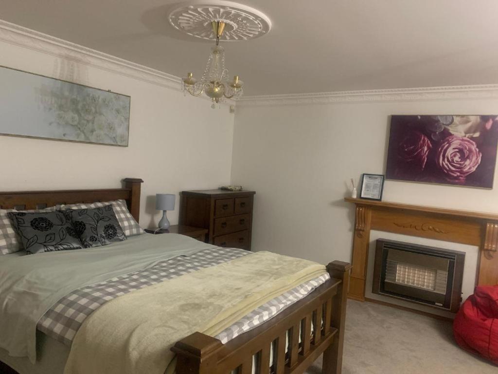 um quarto com uma cama e uma lareira em Riverdale Ensuite em Palmerston North