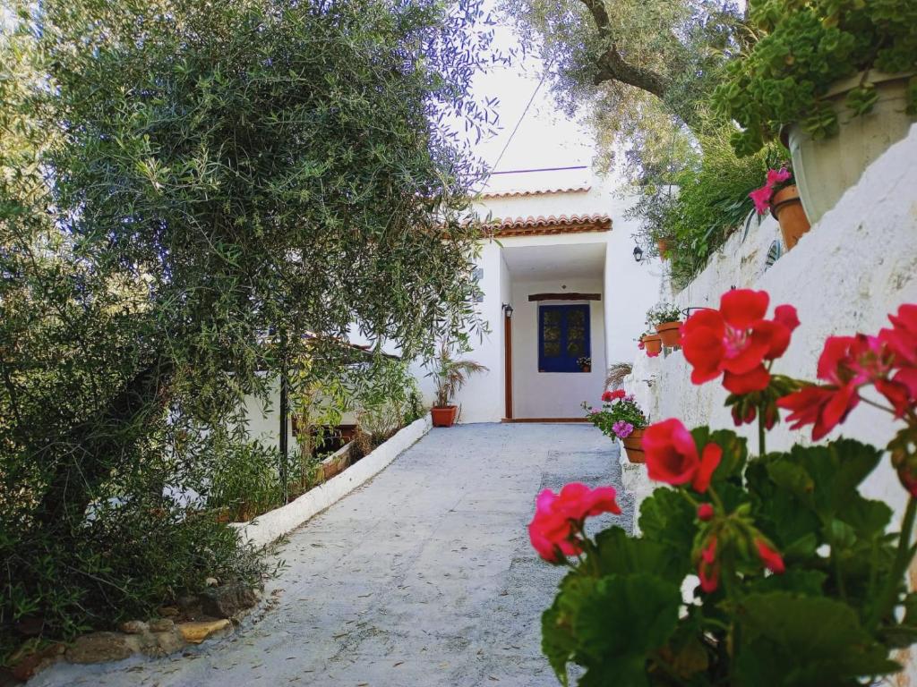 a pathway with red flowers in front of a building at Cortijo Rural Al-Andalus con Piscina in Órgiva
