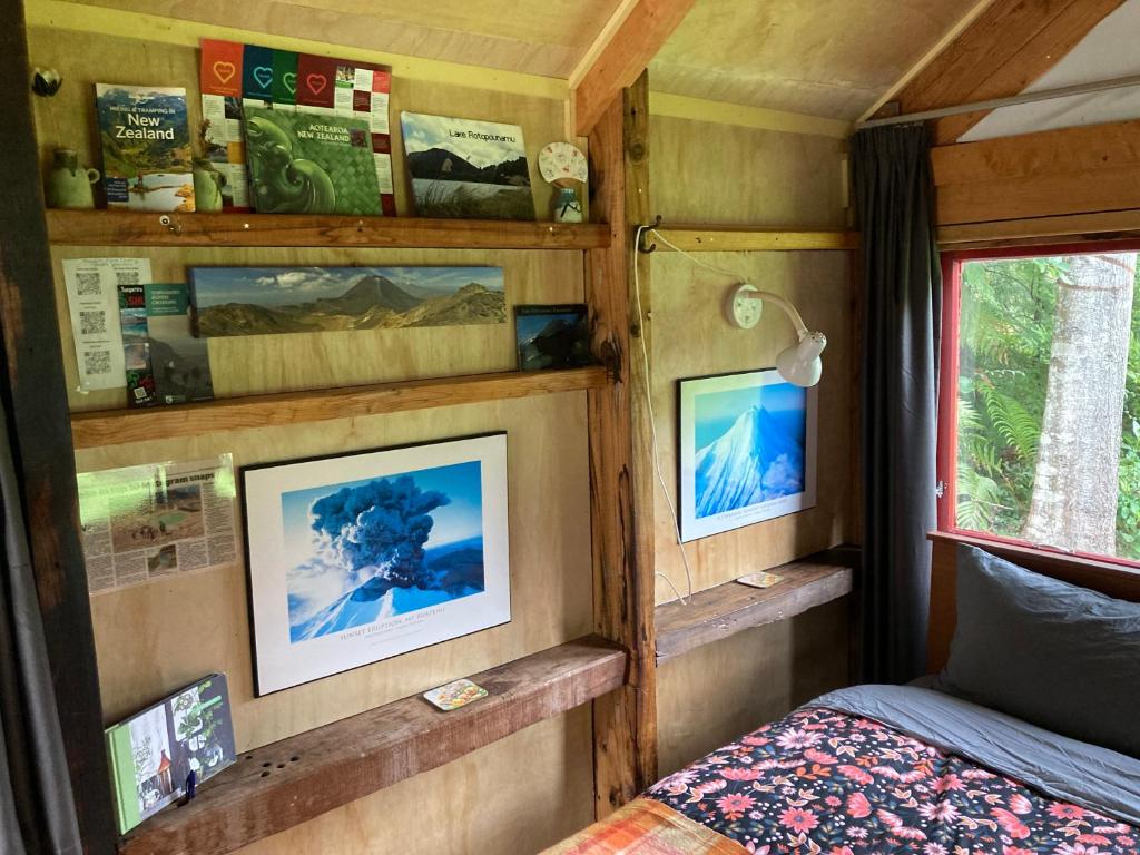 Whare&geothermal pool by lake Taupo - Resim 5