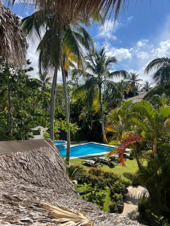 a resort with a swimming pool and palm trees at VillasMana Complex PlayaBonita LasTerrenas Samana NearBeach WiFi in Las Terrenas