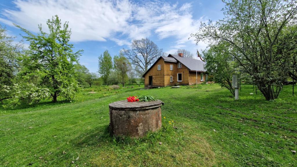 a house in a field with a tree stump with flowers at Ķēniņi 