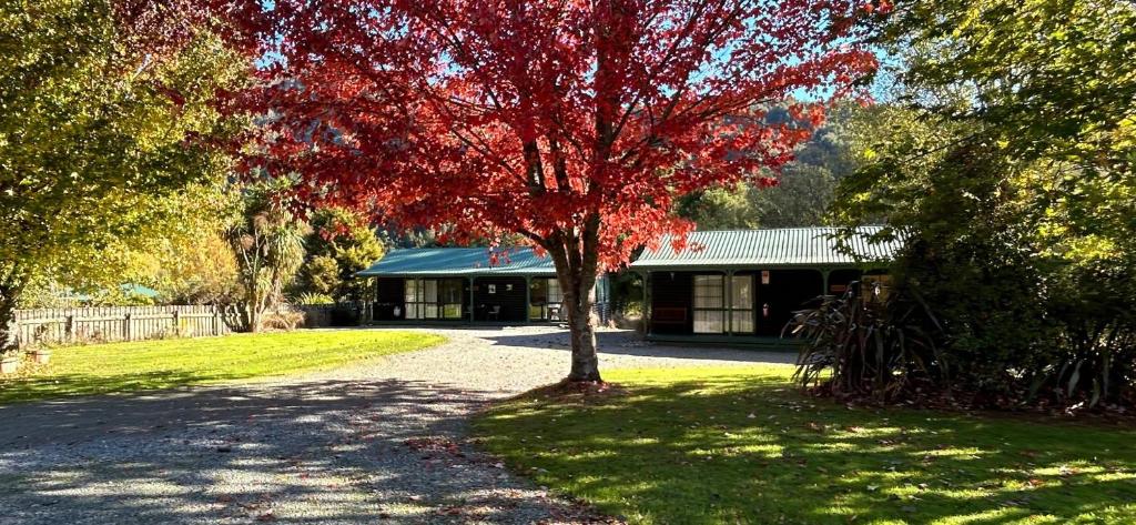 a tree with red leaves in front of a building at Kiwi Park Motels in Murchison