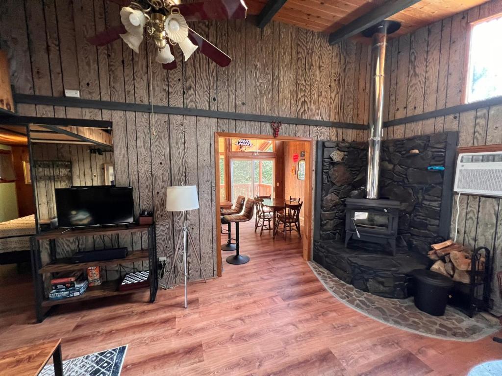 TV a/nebo společenská místnost v ubytování The Cabin in Packwood