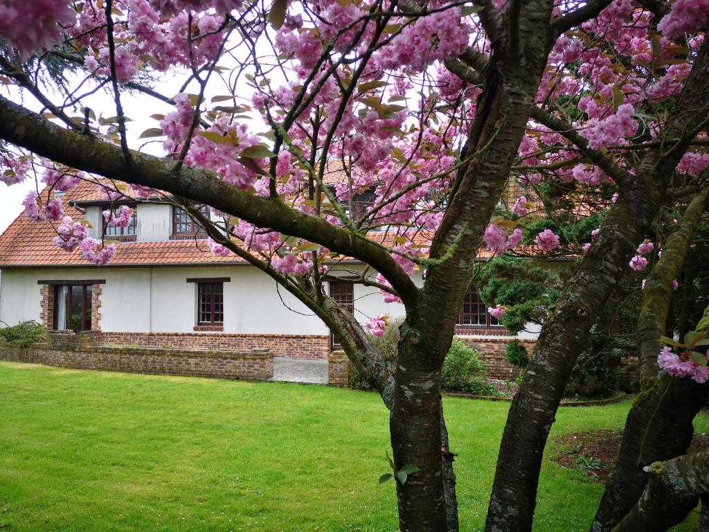 a magnolia tree in front of a house at Le cottage des quatre vents in Gouchaupré