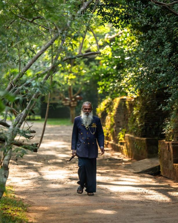 Hosté ubytování Sigiriya Village