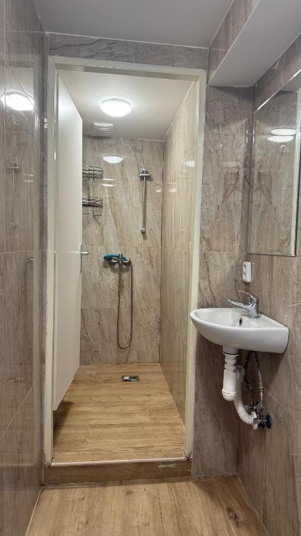a bathroom with a shower and a sink at 布拉格城堡公寓 in Rudná
