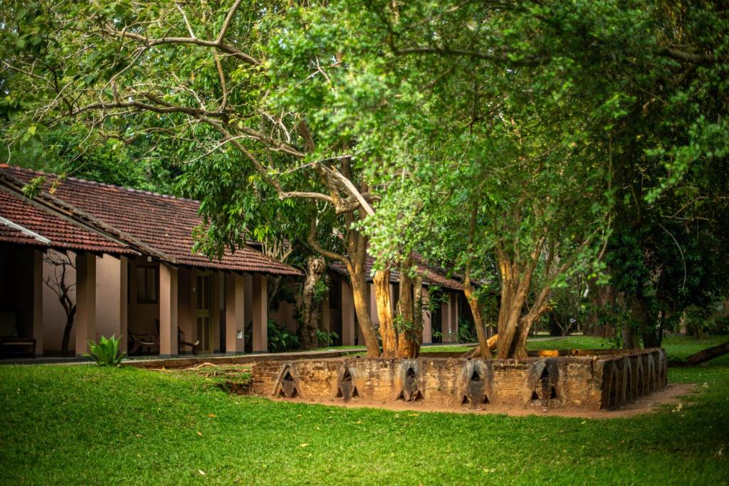 Zahrada ubytování Sigiriya Village