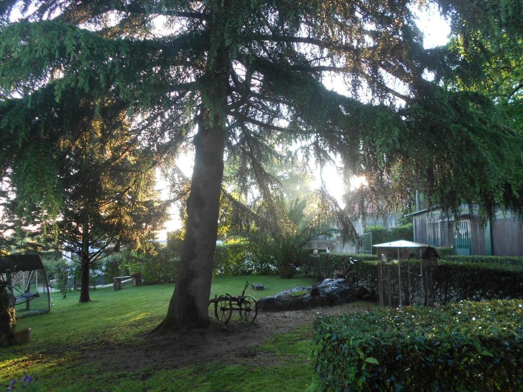 Zahrada ubytování B&B La Quercia