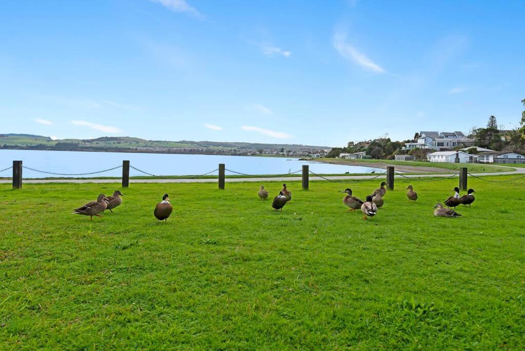 Waimahana - Luxury By The Lake - Resim 31