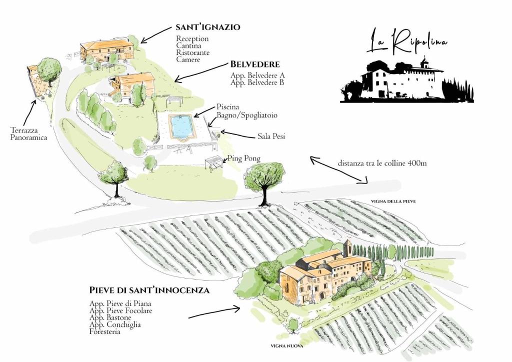 Fotografie z fotogalerie ubytování Agriturismo La Ripolina v destinaci Buonconvento