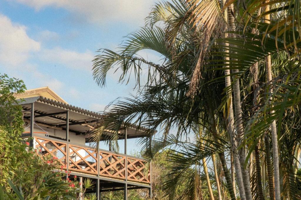 a building with palm trees in front of it at Mambo Hostel Okinawa in Motobu