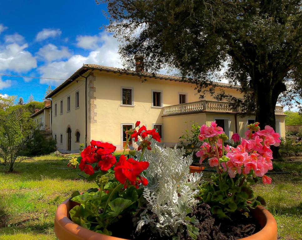 una gran olla de flores delante de una casa en Villa Mucellena, en Casole dʼElsa