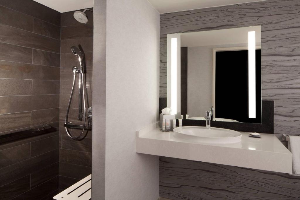 Dallas/Fort Worth Airport Marriott - 
