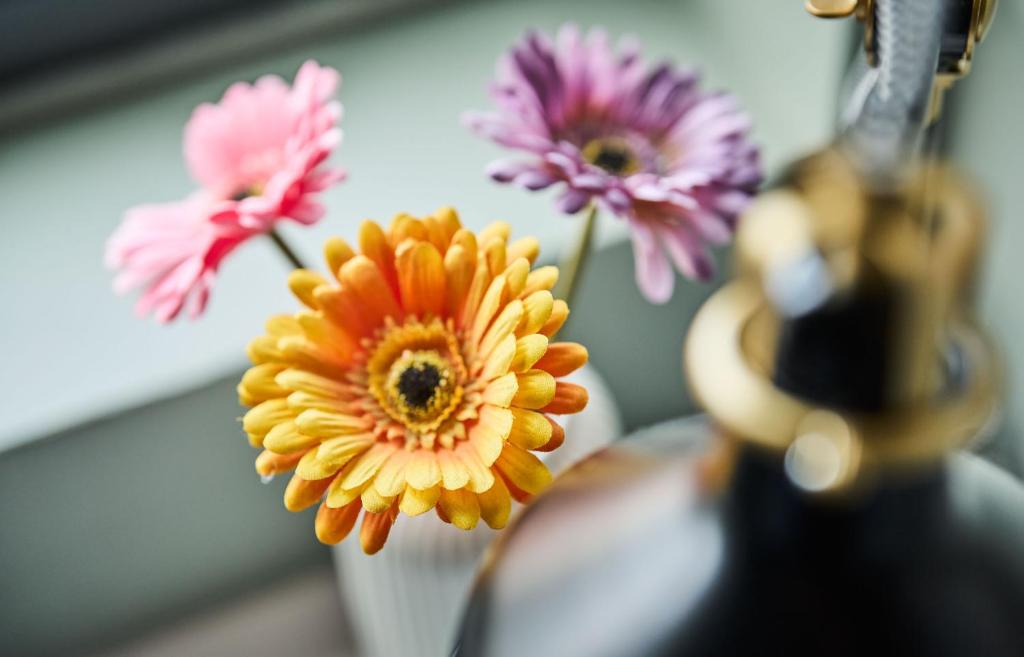 Smarthotel Forus - Resim 20