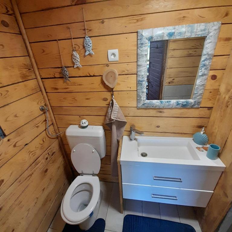 a bathroom with a toilet and a sink and a mirror at Glamping pod Hrastom in Dramlje