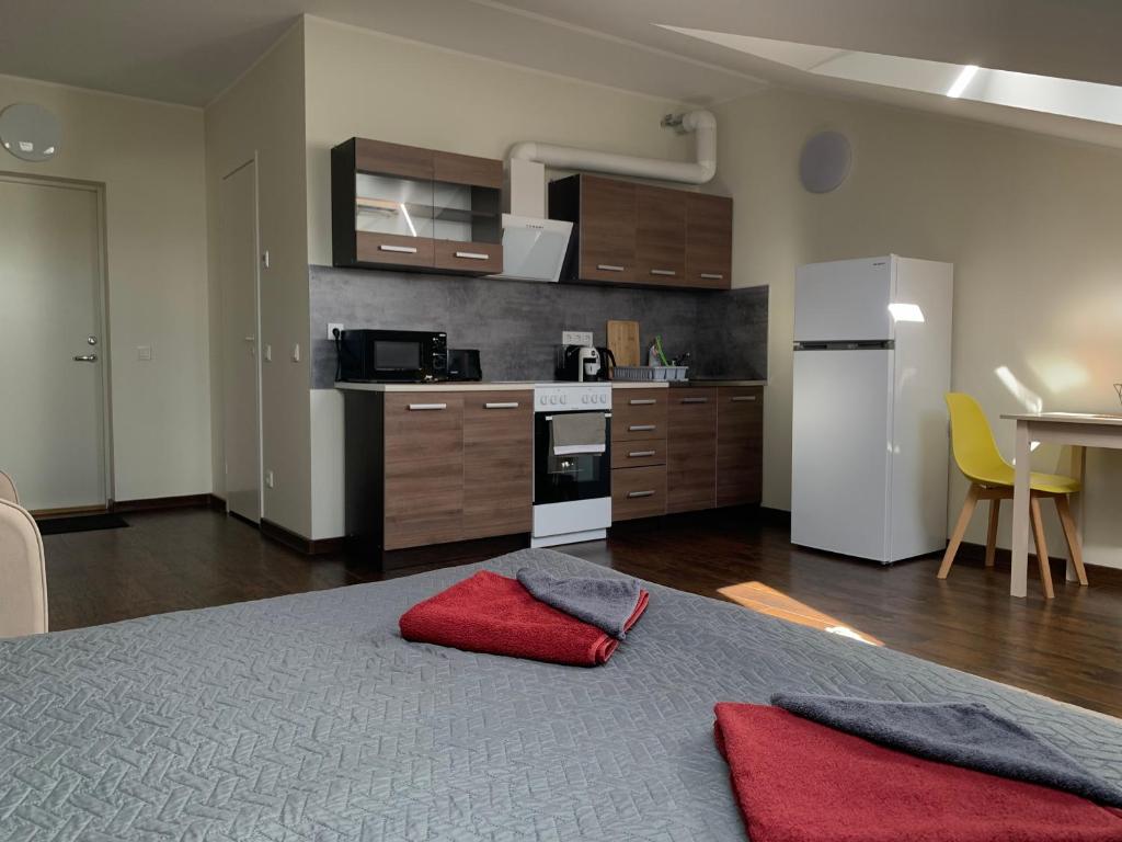 Apartments near Noblessner في تالين: مطبخ مع سرير ووسادتين حمرا عليه