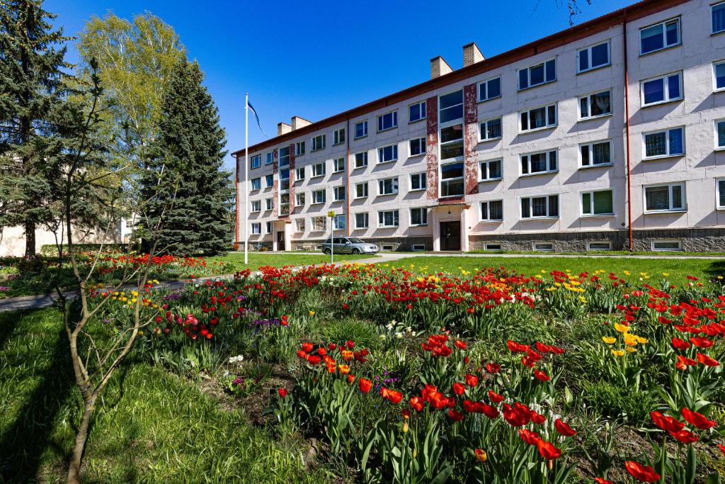 Afbeelding uit fotogalerij van Kreutzwaldi 17 apartment in Võru