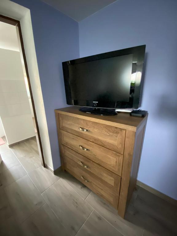 Telewizja i/lub zestaw kina domowego w obiekcie Apartmány U Jeřábků