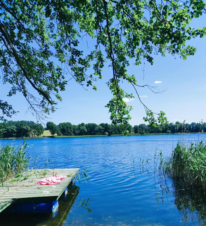 a dock on a lake with trees in the background at Domki Zaczarowana Łąka w Borach Tucholskich in Wełpin
