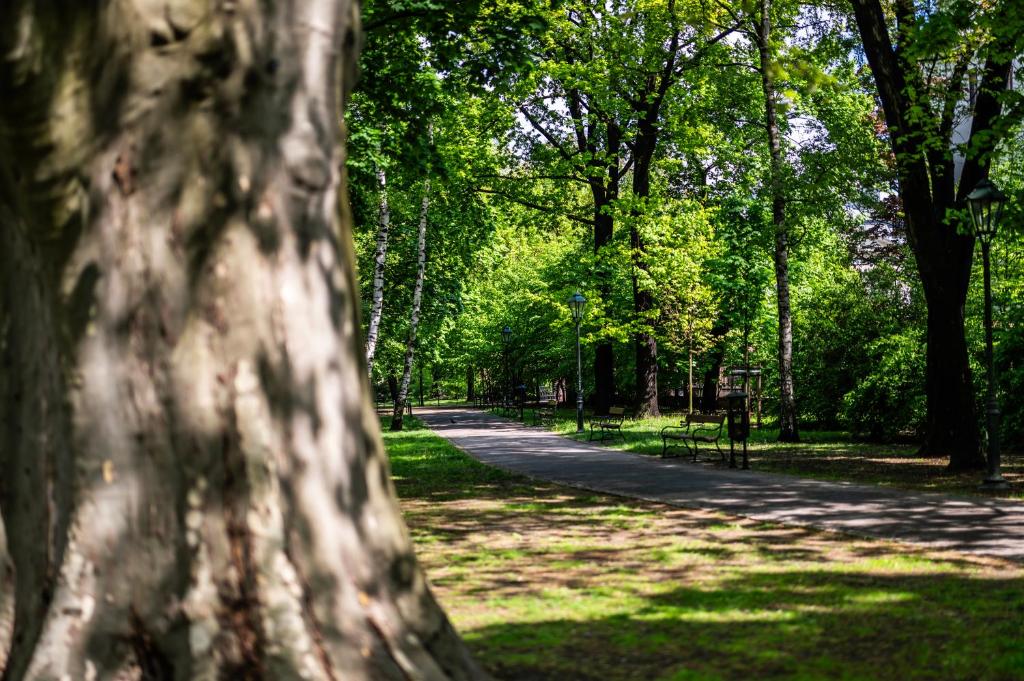 Wenecja Moxy TE&AM Stare Miasto Dworzec 3 min Parking GRATIS - 14