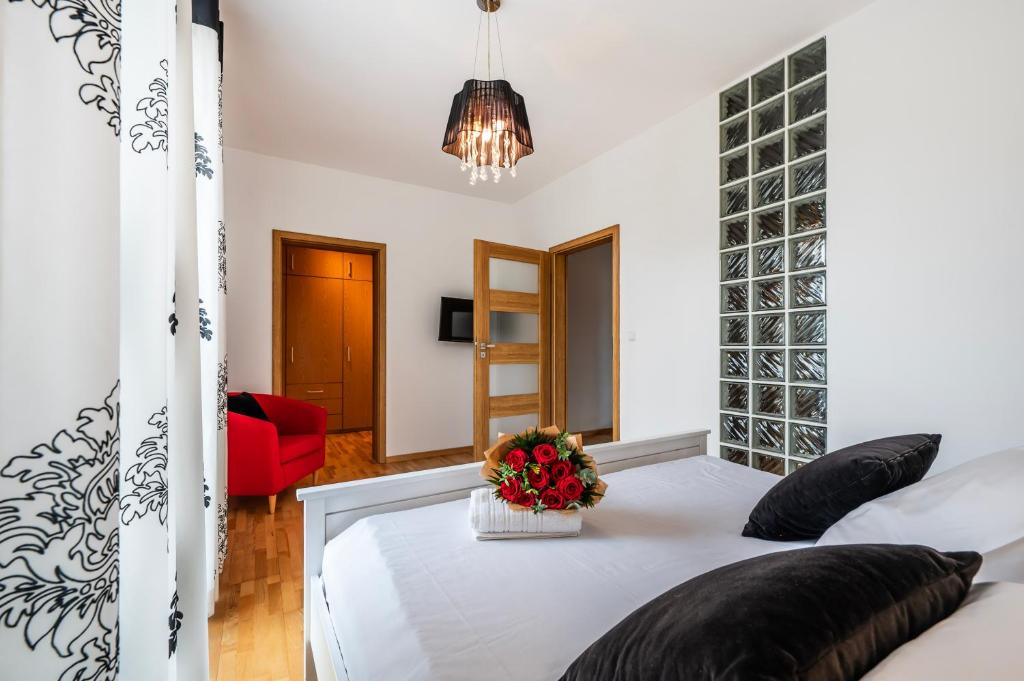 Rimini Moxy TE&AM Old Town Free Parking Dworzec 5 min - 17