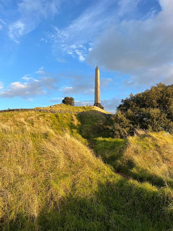 Wheturangi Urban Escape - Resim 32